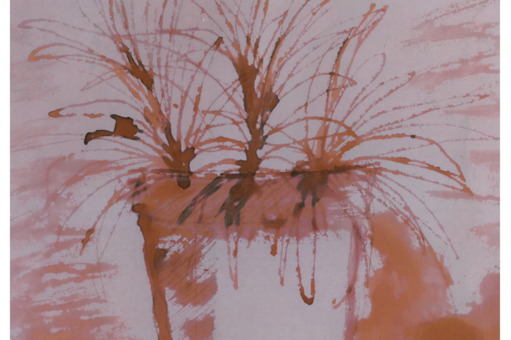 Pro mě v&nbsp;Domě ekologicky